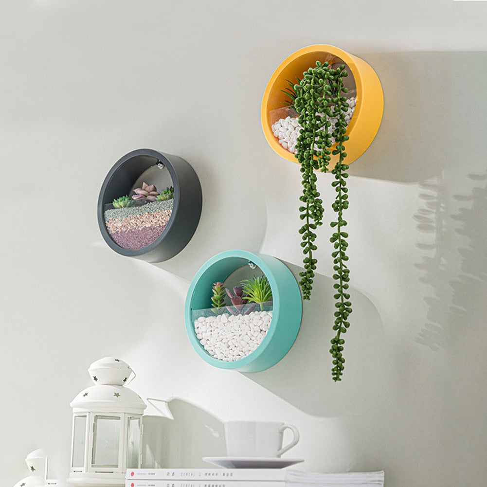 Colorful Hanging Flower Pots