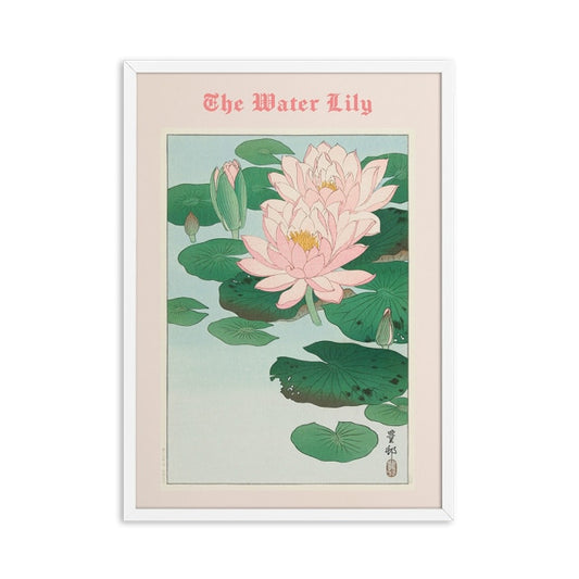 Pink Water Lily Poster